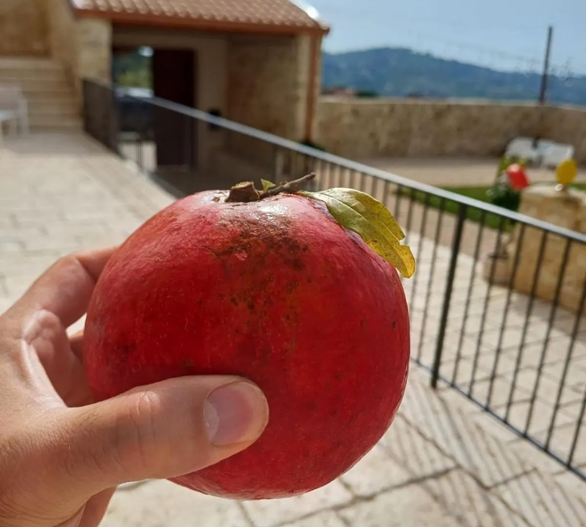 Masseria Torre Saracena Agrigento Bed & Breakfast